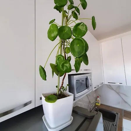 Rovena's - Free Parking Lejlighed