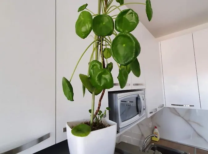 Rovena's - Free Parking Apartamento